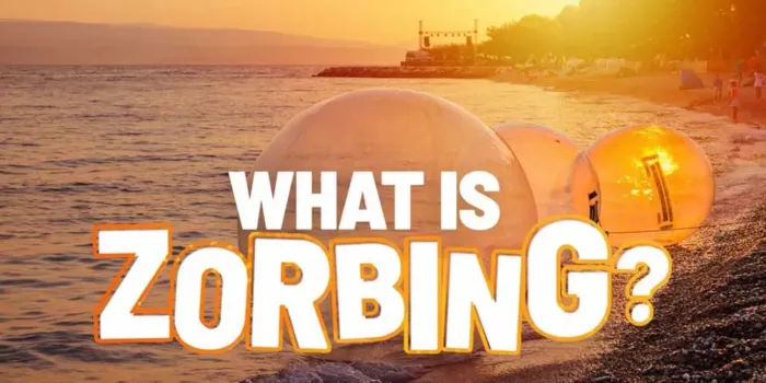 What is Zorbing (Banner)