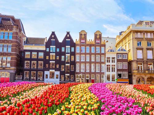 Where Can I Play Bubble Football in the Netherlands - Amsterdam